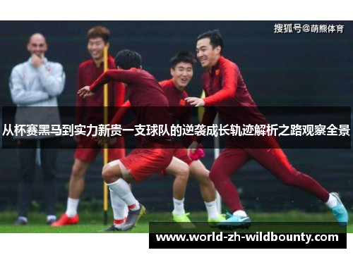 从杯赛黑马到实力新贵一支球队的逆袭成长轨迹解析之路观察全景