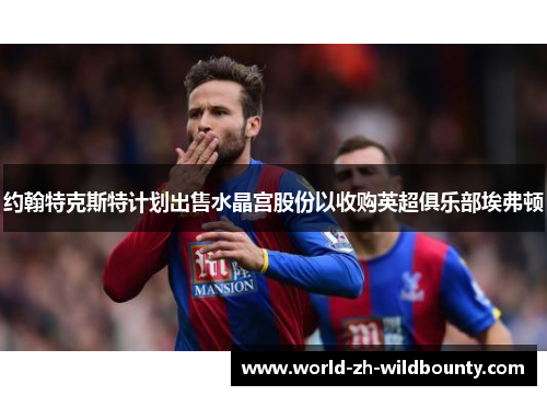 约翰特克斯特计划出售水晶宫股份以收购英超俱乐部埃弗顿