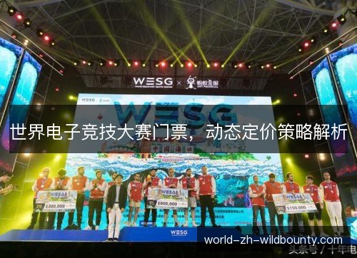 世界电子竞技大赛门票,动态定价策略解析 世界电子竞技大赛门票,动态定价策略解析